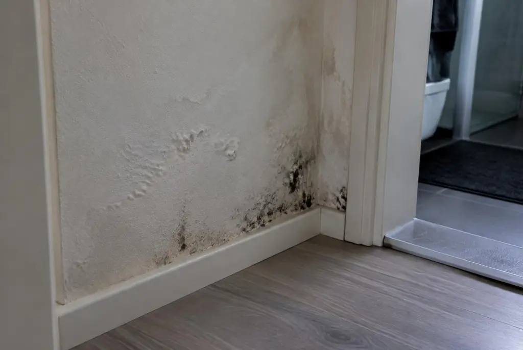 Lekdetectie Nieuwegein – vochtplek met schimmel op een muur